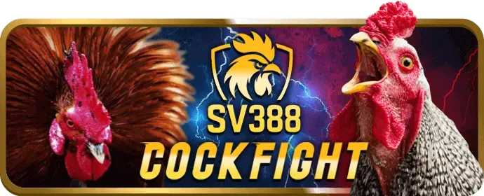 Hỗ trợ khách hàng 24/7 78bet